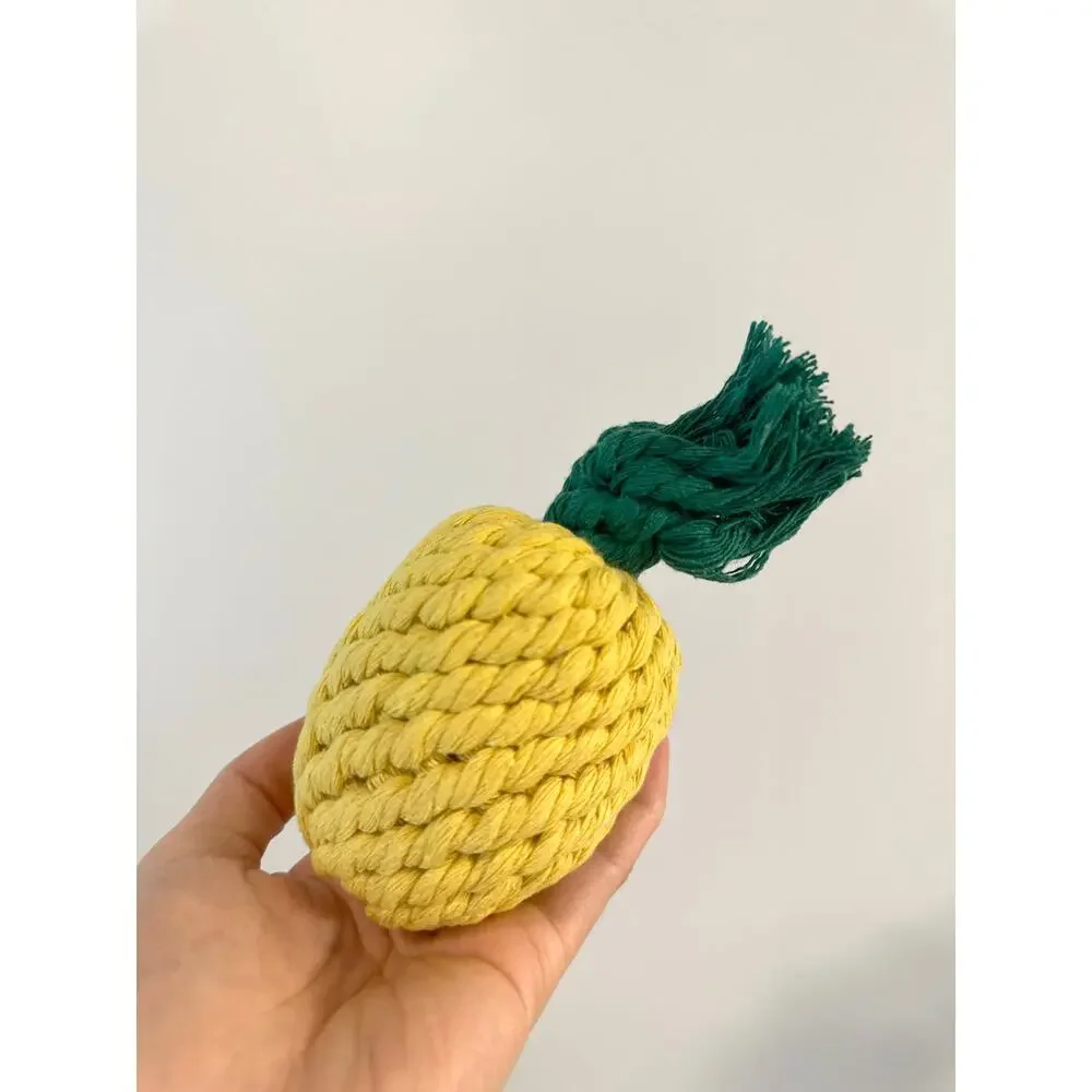 Monli Handcrafted Handmade Sustainable Pineapple Rope Toy